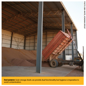 Dual-purpose: Grain storage sheds can provide dual functionality but hygiene is imperative to avoid contamination.