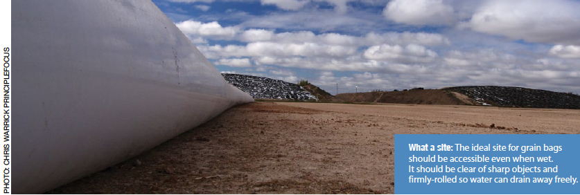 What a site: The ideal site for grain bags should be accessible even when wet. It should be clear of sharp objects and firmly-rolled so water can drain away freely.
