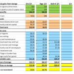Grain Storage Economics template