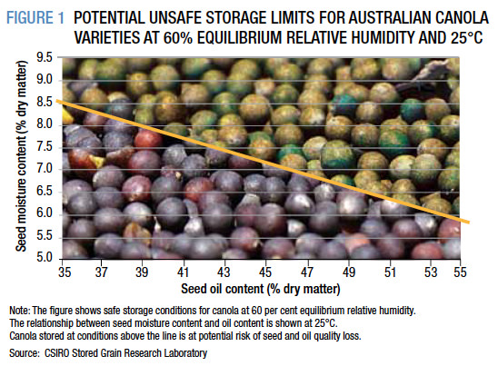 POTENTIAL UNSAFE STORAGE LIMITS FOR AUSTRALIAN CANOLA VARIETIES AT 60% EQUILIBRIUM RELATIVE HUMIDITY AND 25°C
