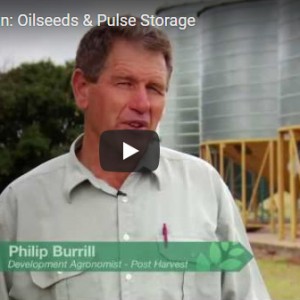 Stored Grain Pulse and oilseed video