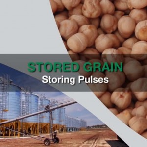 Stored Grain Pulses video