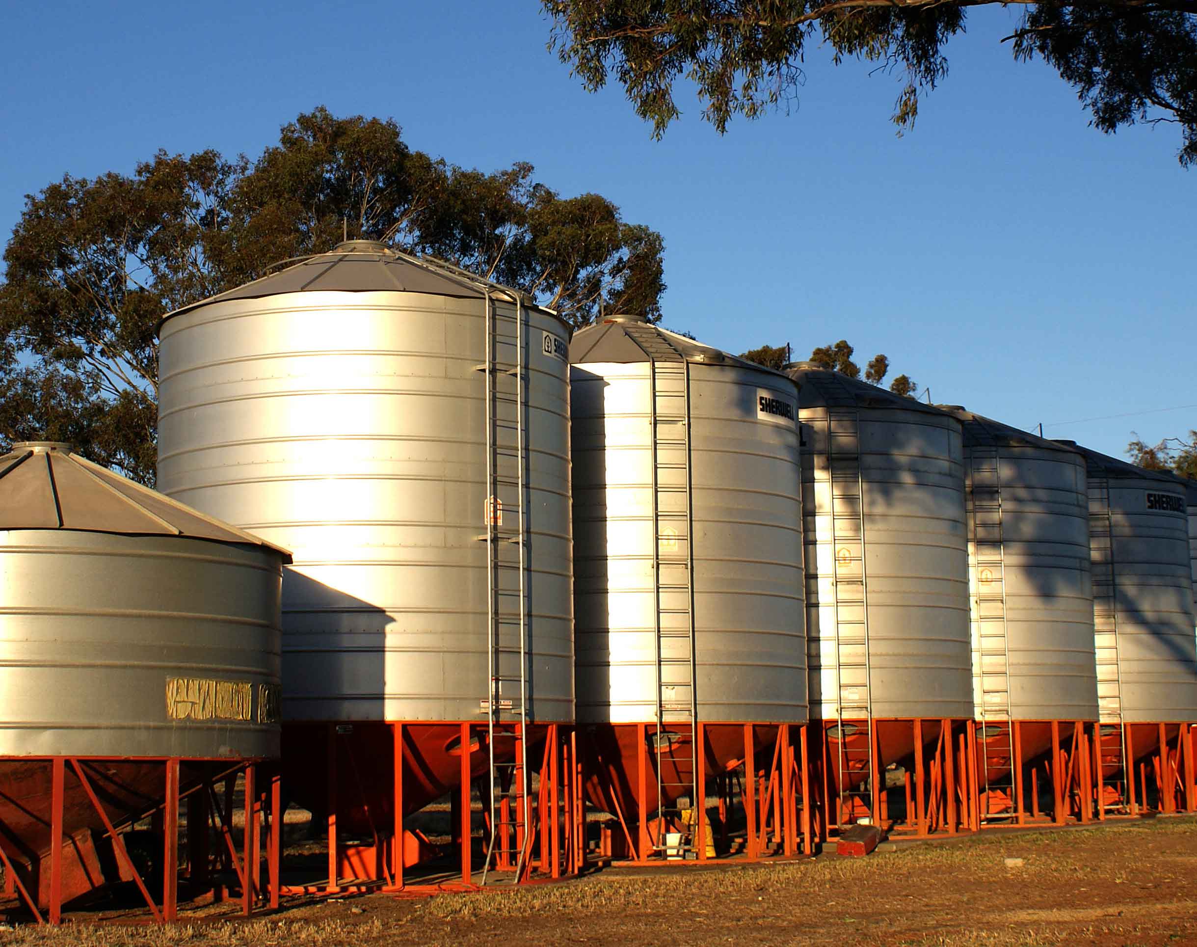 Best Grain Storage Solutions