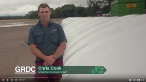 Stored Grain bags growers perspective