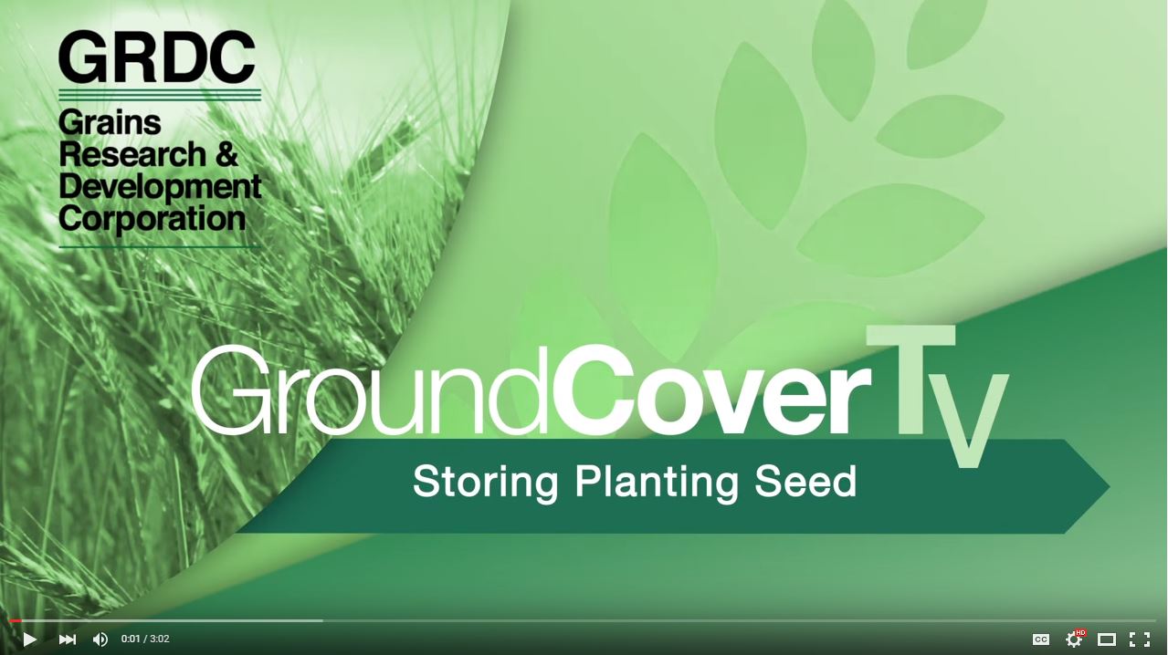 Stored Grain Planting seed video