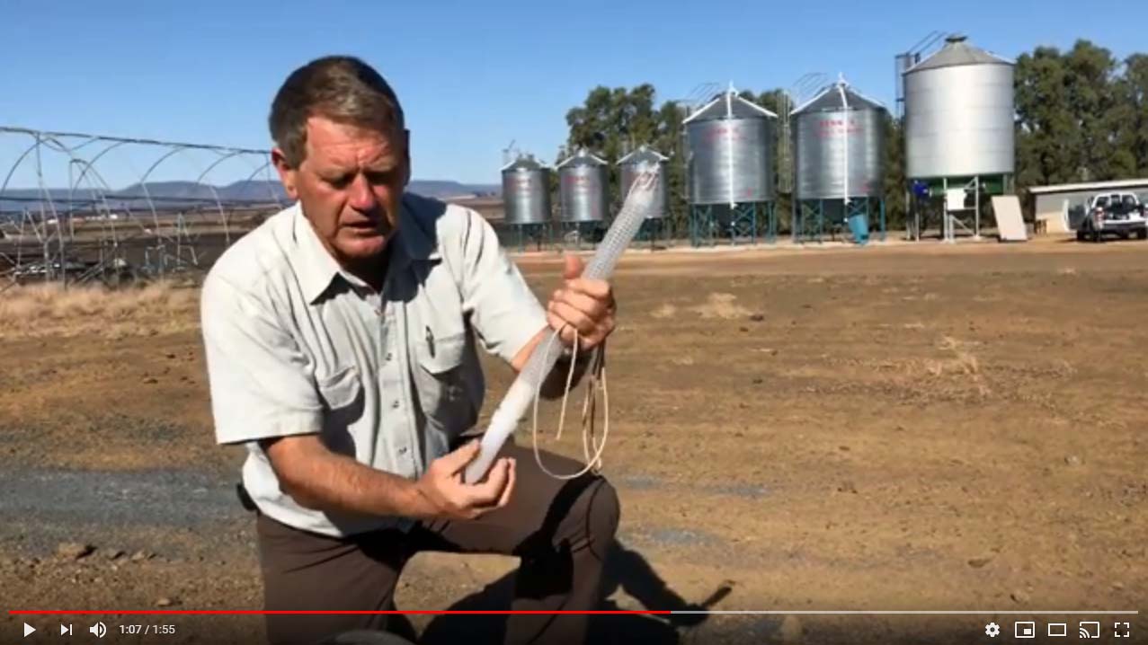 Grain Storage Philip probe trap video