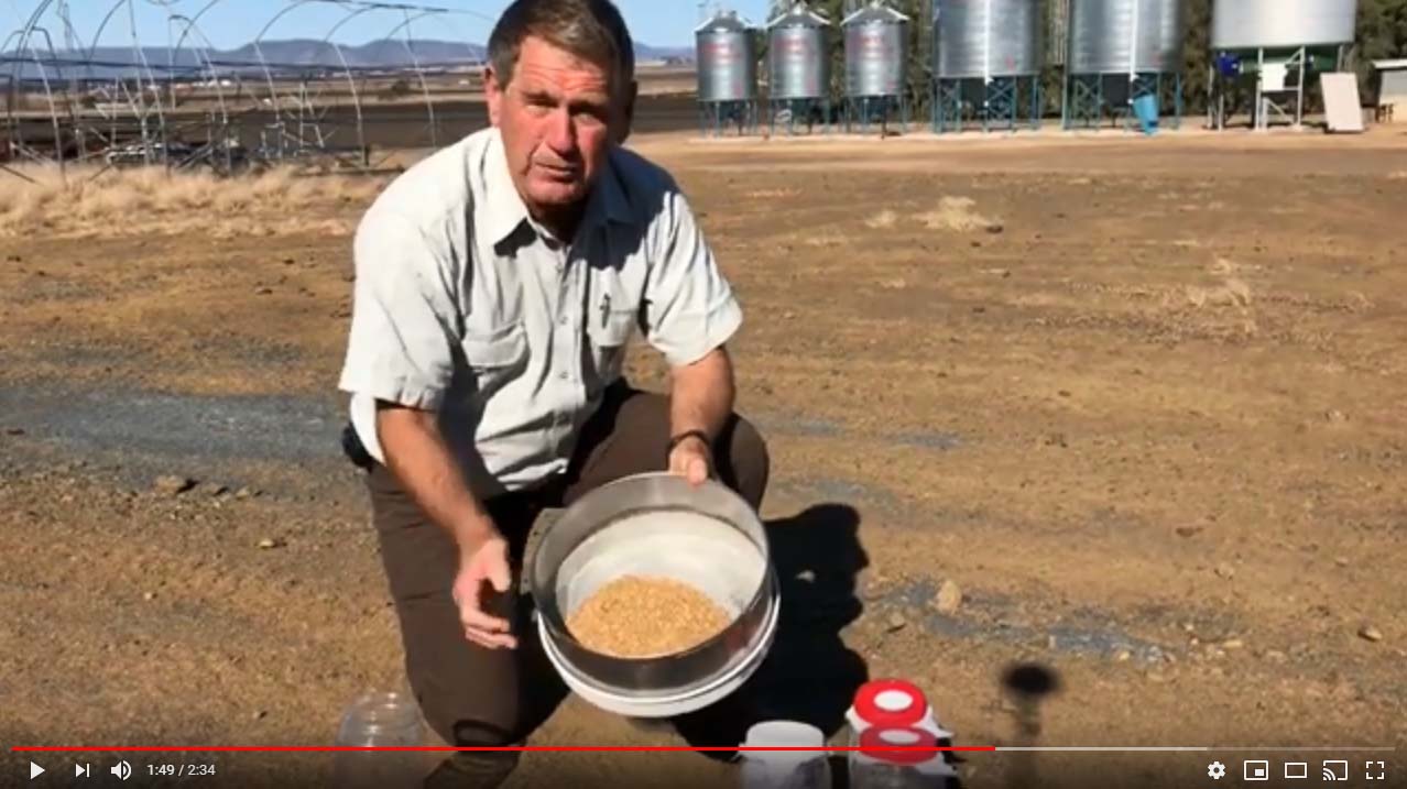 Stored Grain Sieving video